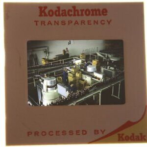 Vintage Heineken Brewery production slide August 1965 Amsterdam Netherlands